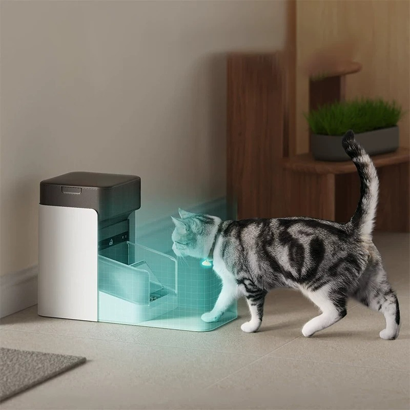 Pet Feeders - Automatic Pet Feeder with Motion Sensor—Cat