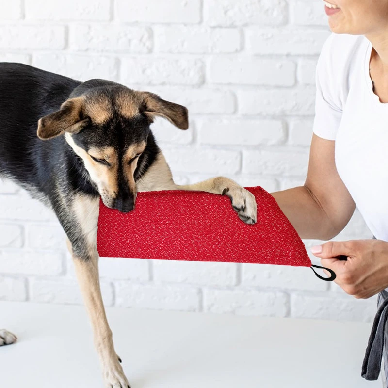 Dog Training Sleeves Puppy Bit - Interactive Squeaky Plush Dog Toy review and price
