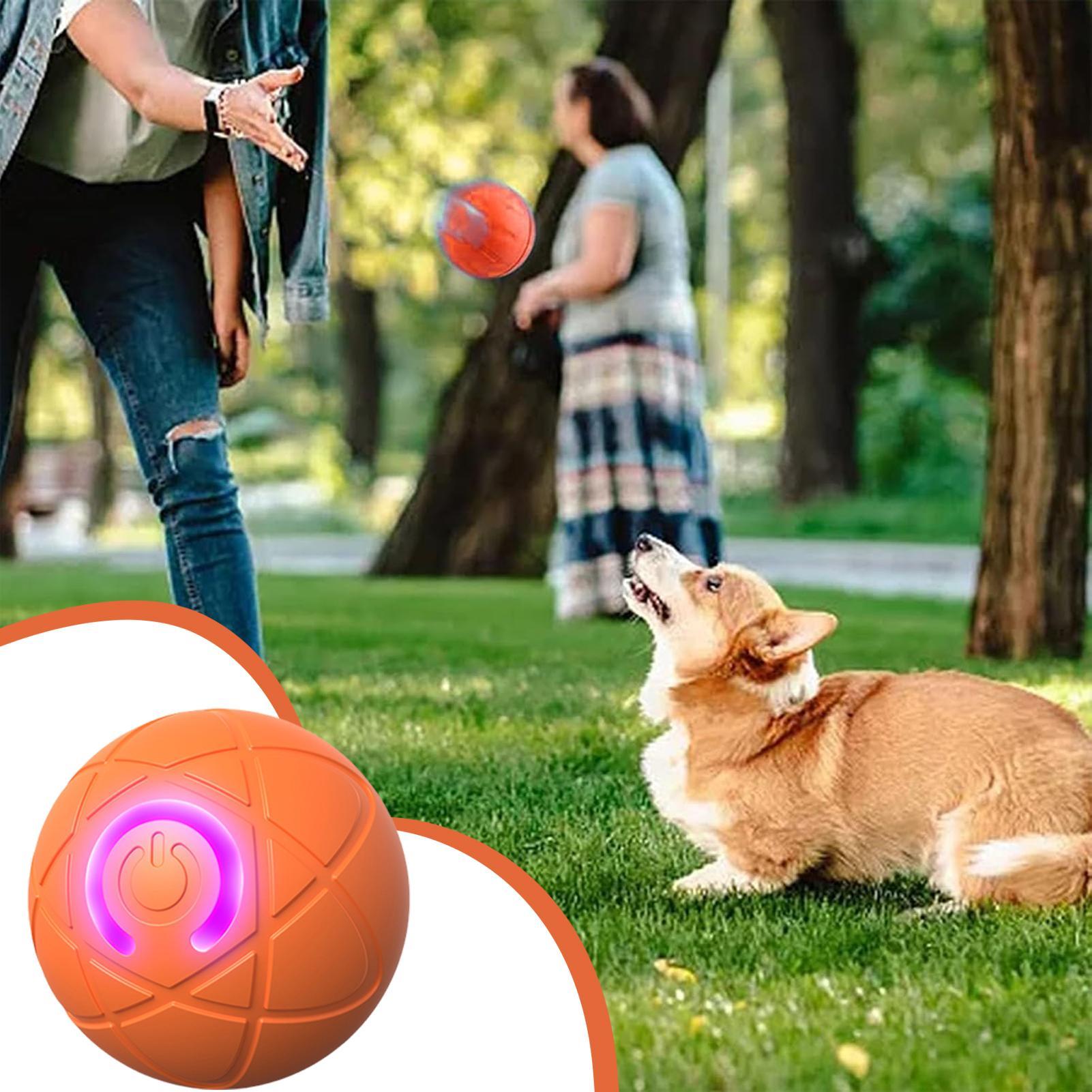Smart Interactive Dog Toys for - Automatic Moving Dog Ball review and price