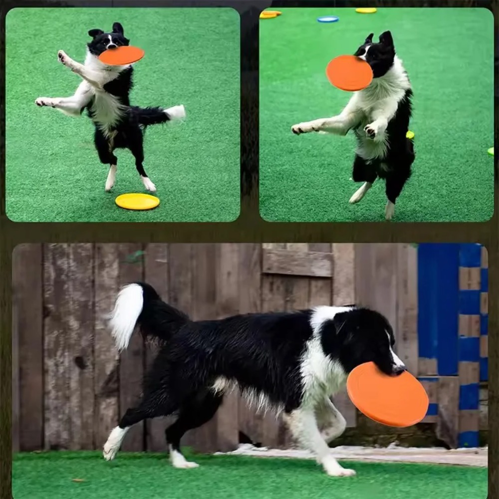 Dog Flying Disc TPR Pet Toy In - Flying Disc Dog Training Toy review and price