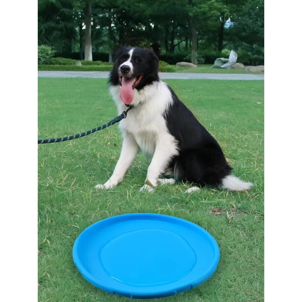 Dog Flying Disc TPR Pet Toy In - Flying Disc Dog Training Toy review and price