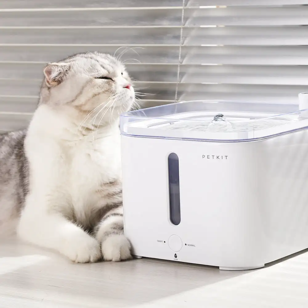 CANBOUN EVERSWEET Series Pet S - Pet Feeders review and price