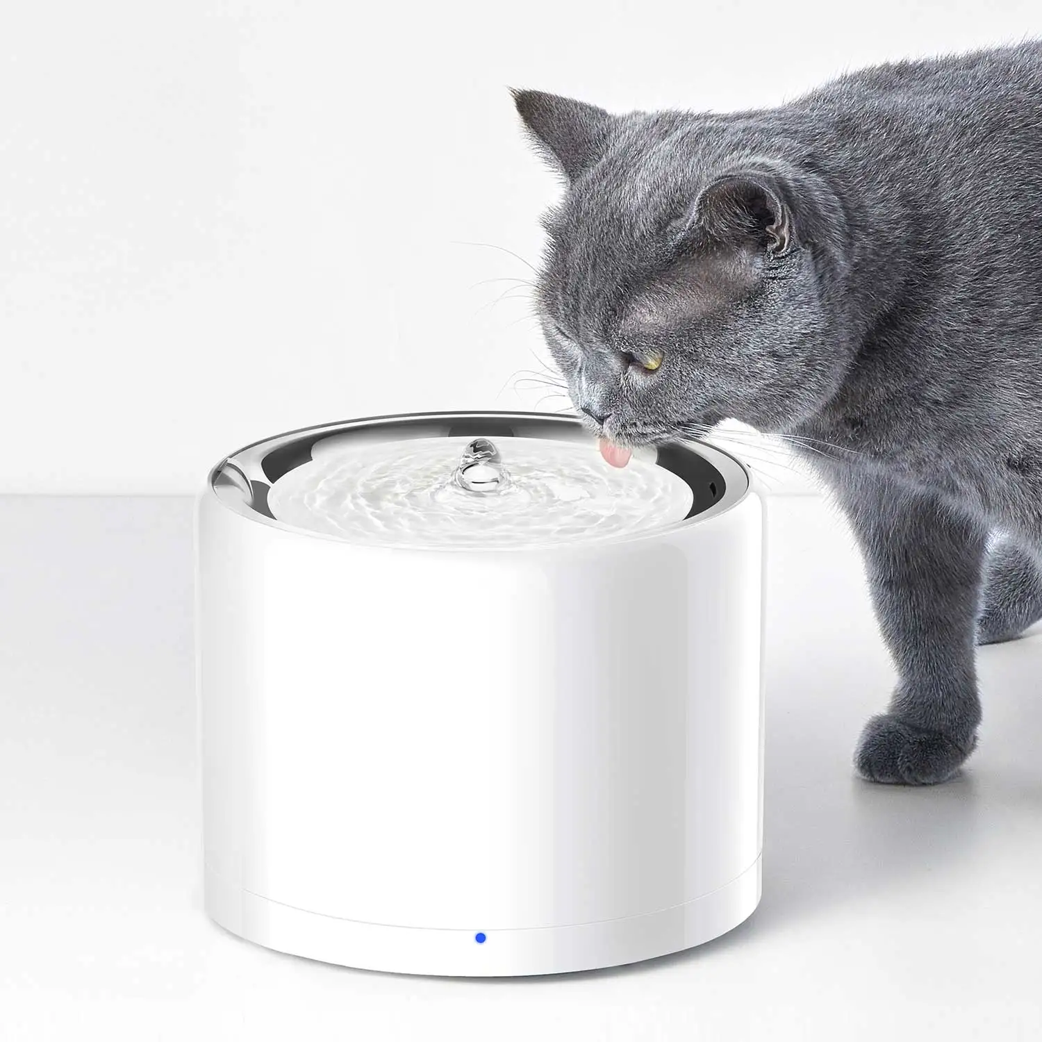 CANBOUN EVERSWEET Series Pet S - Pet Feeders review and price