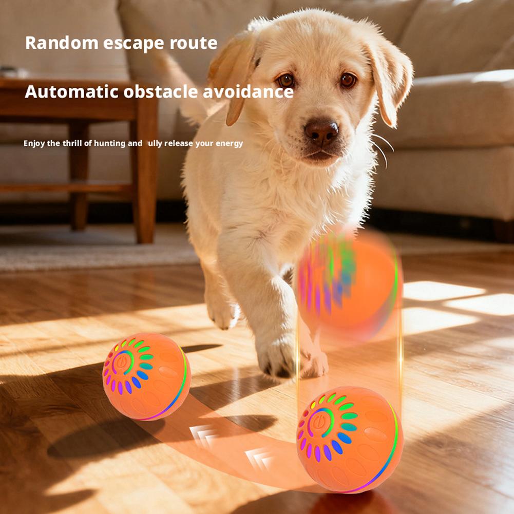 Smart Dog Toy Ball Automatic I - Automatic Moving Dog Ball review and price