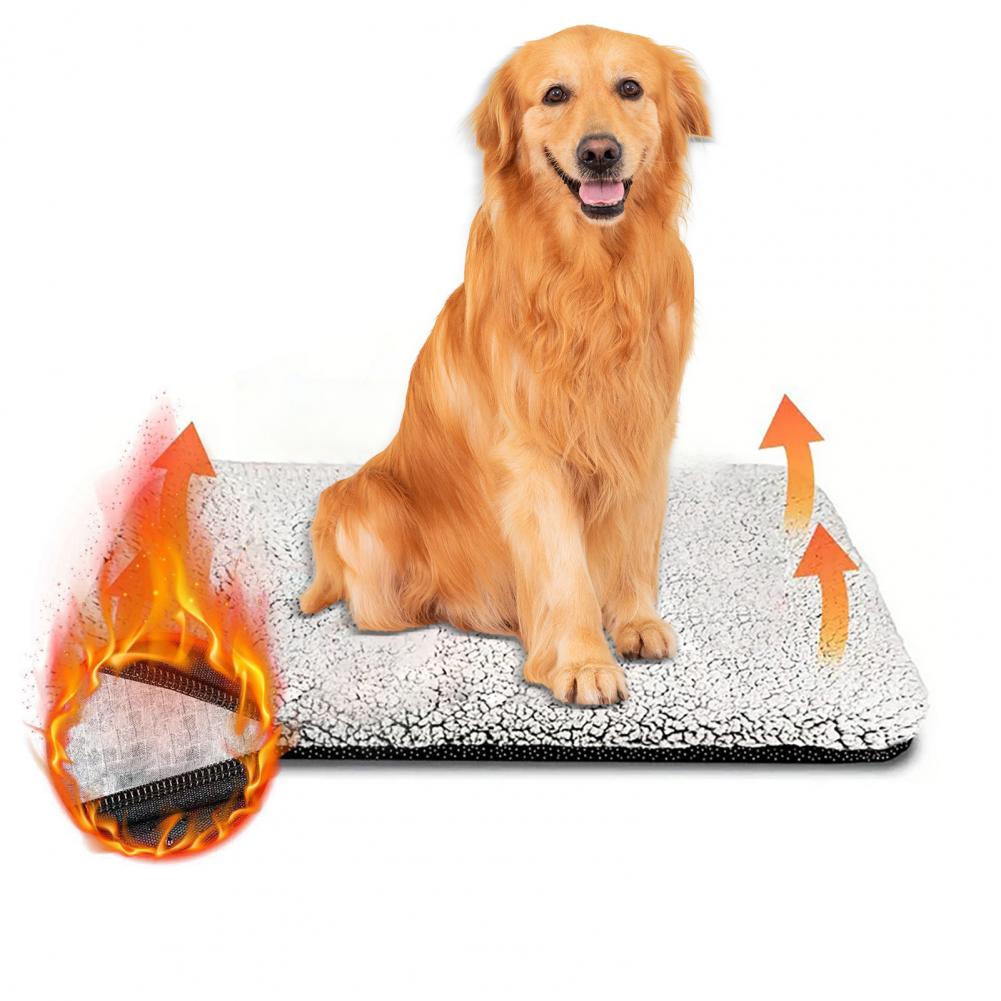 Warm Dog Mat No Electricity Se - Pet Beds review and price