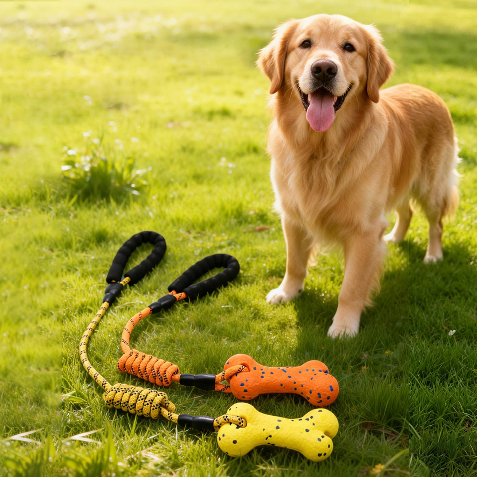 Rope Toys For Dogs Pet Interac - Dog Rope Toy Aggressive Chewers review and price