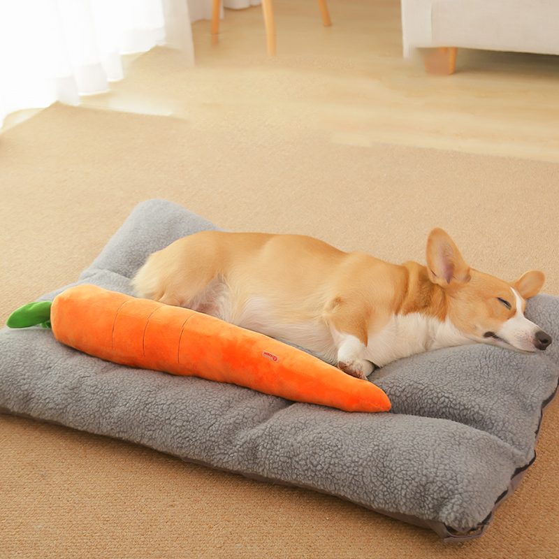 HOOPET Dog Toy Pet Carrot Plus - Indestructible Dog Chew Toy review and price