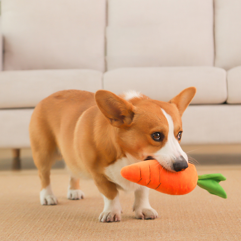 HOOPET Dog Toy Pet Carrot Plus - Indestructible Dog Chew Toy review and price