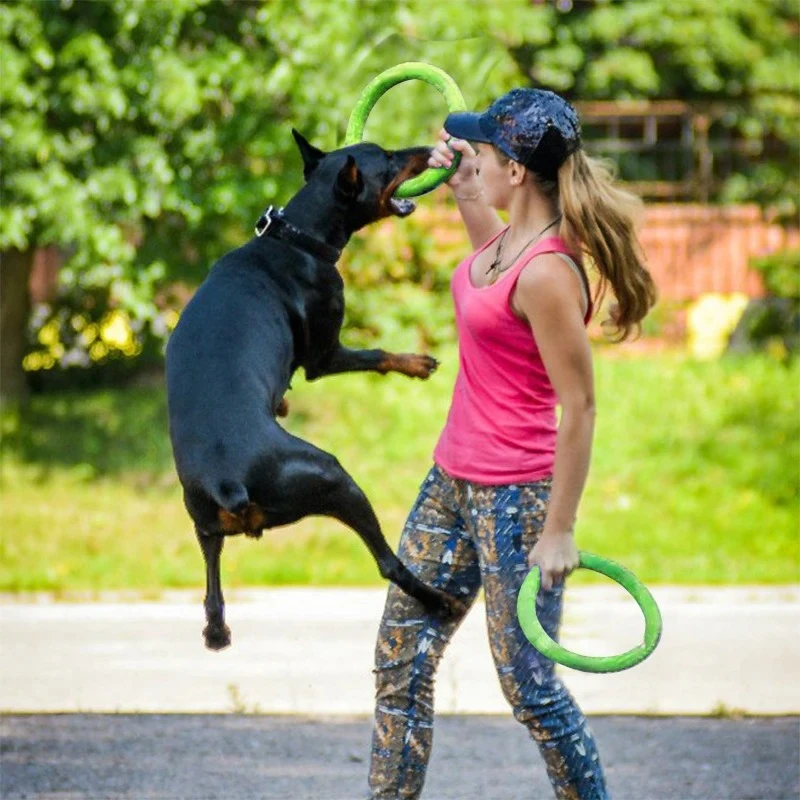 Dog Toys Pet Flying Discs EVA  - Suction Cup Dog Tug Toy review and price