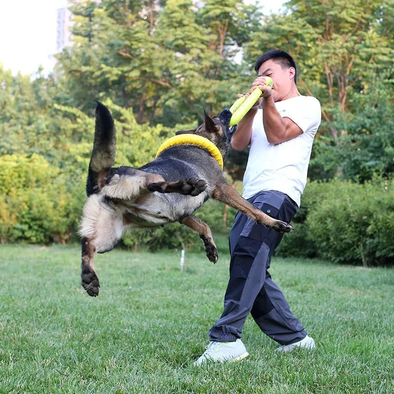 Dog Toys Pet Flying Discs EVA  - Suction Cup Dog Tug Toy review and price