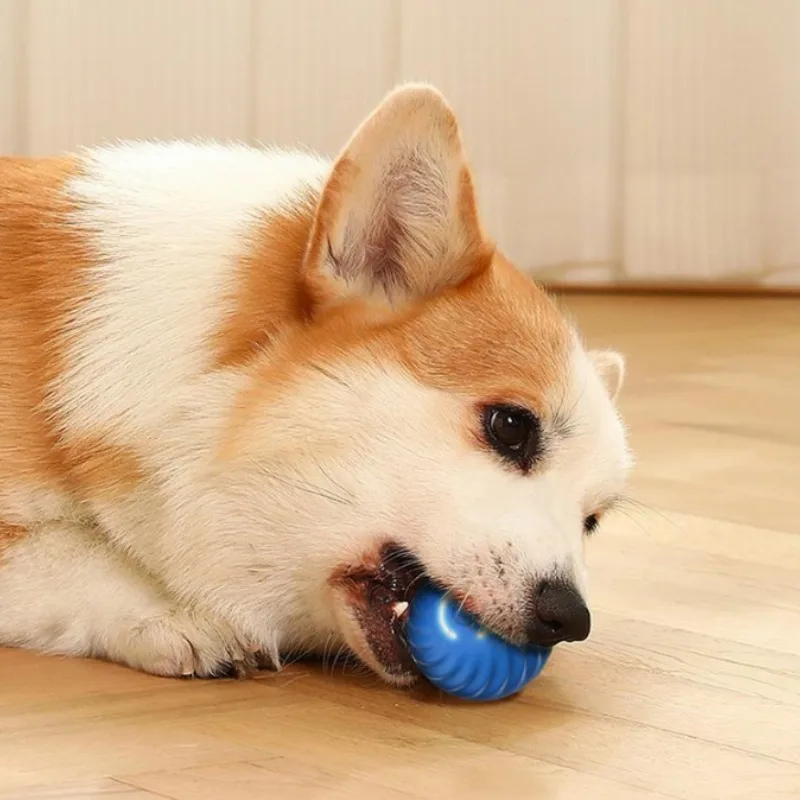 @1G-Pet Toy Ball Automatic Mov - Automatic Moving Dog Ball review and price