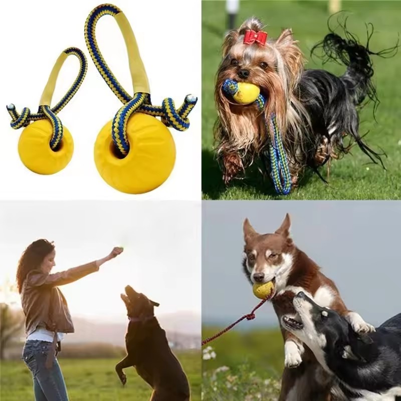 1pc Teeth Indestructible Bite  - Indestructible Dog Chew Toy review and price