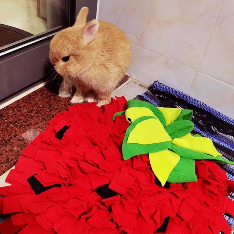 Pet Enrichment Slow Feeding Ma - Snuffle Mat For Dogs review and price