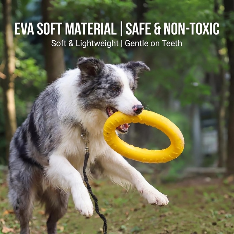 Dog Toys Pet Flying Discs EVA  - Suction Cup Dog Tug Toy review and price