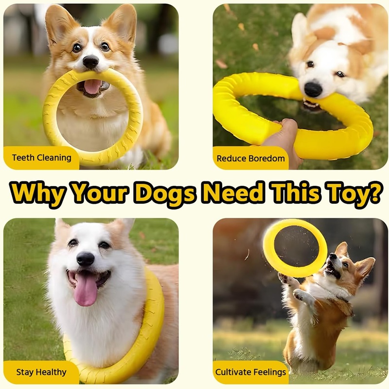 Dog Toys Pet Flying Discs EVA  - Suction Cup Dog Tug Toy review and price
