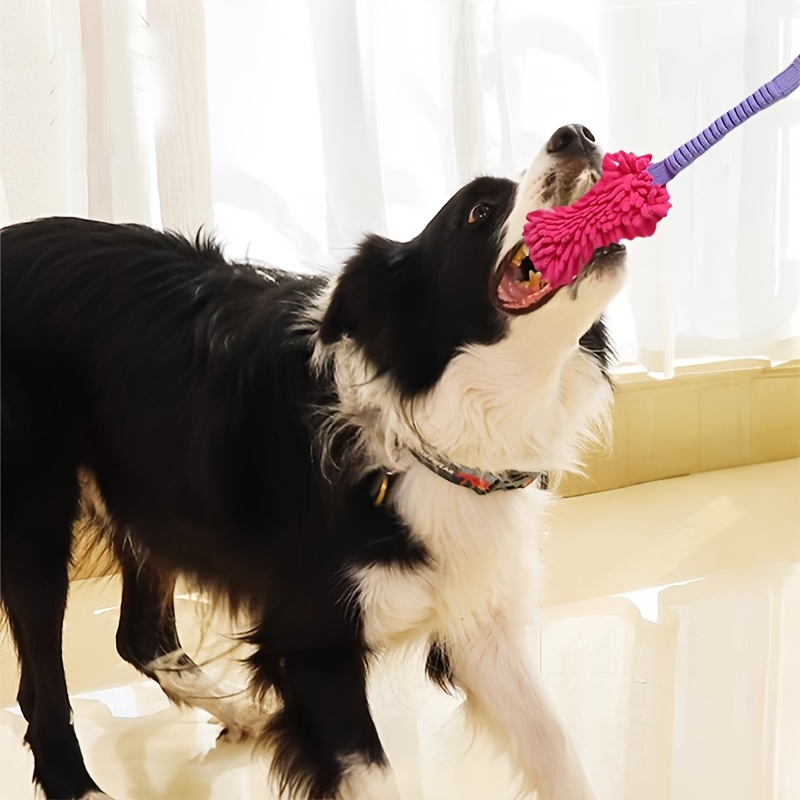 Durable Dog Toys for Aggressiv - Dog Rope Toy Aggressive Chewers review and price
