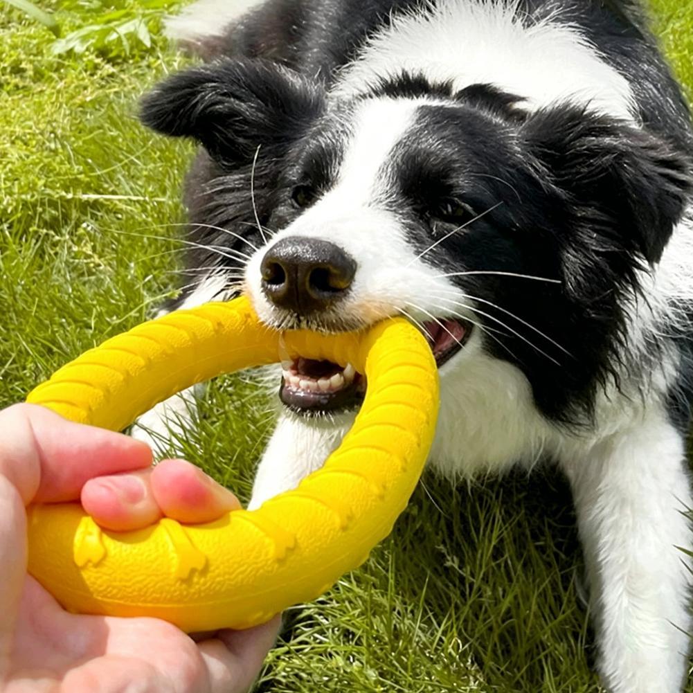 Dog Ring Toys Indestructible C - Indestructible Dog Chew Toy review and price
