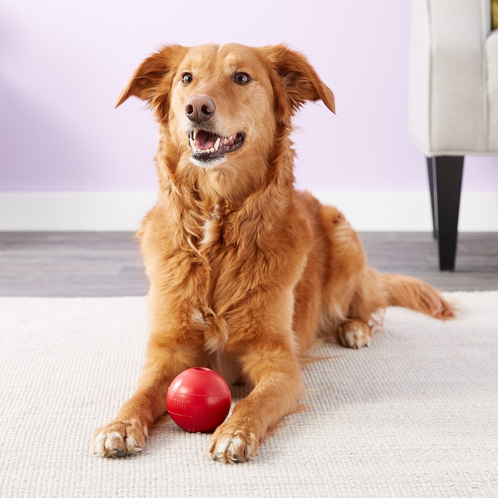 KONG Ball Dog Toy M/L - Indestructible Dog Chew Toy review and price