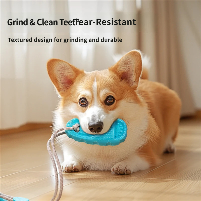Suction Cup Dog Tug Toy Intera - Suction Cup Dog Tug Toy review and price