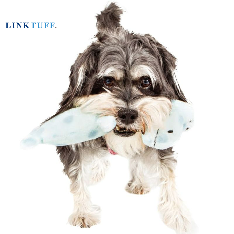 Linktuff Pet Dog Squeaky Train - Suction Cup Dog Tug Toy review and price