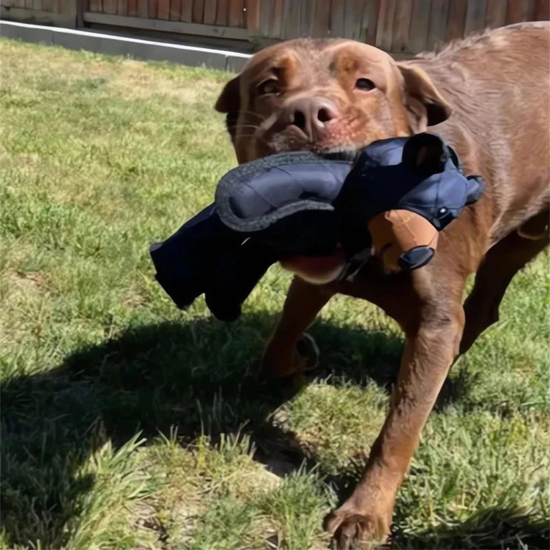 Dog Unbreakable Teddy Extreme  - Indestructible Dog Chew Toy review and price