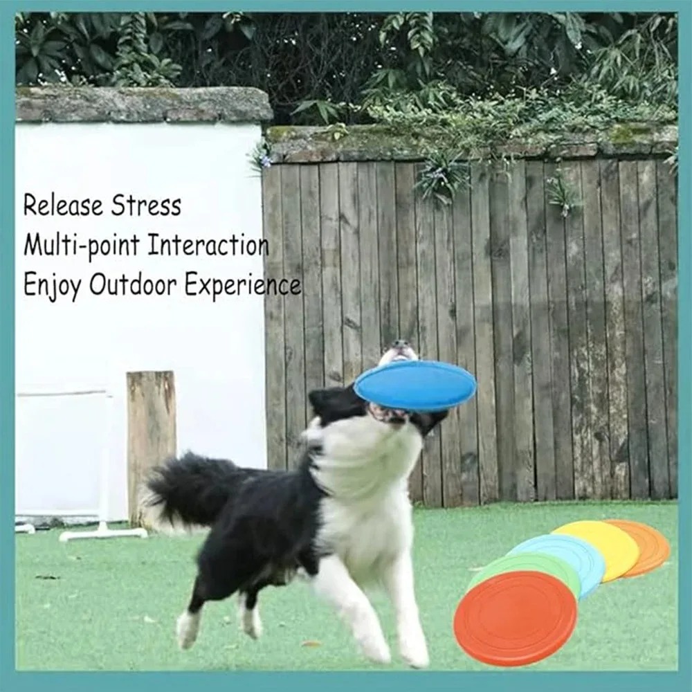 Silicone Flying Saucer Funny D - Flying Disc Dog Training Toy review and price